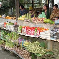 http://192.168.29.90/photos/Open/Ahmed%20Hossain%20Collections/D014/P012/W001/D014P012W001S001.jpg