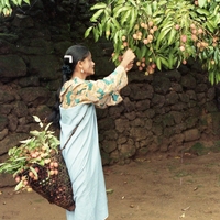 http://192.168.29.90/photos/Open/Ahmed%20Hossain%20Collections/D019/P001/W001/D019P001W001S019.jpg