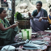 http://192.168.29.90/photos/Open/Ahmed%20Hossain%20Collections/D019/P002/W001/D019P002W001S002.jpg