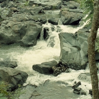 http://192.168.29.90/photos/Open/Ahmed%20Hossain%20Collections/D019/P001/W002/D019P001W002S037.jpg