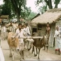http://192.168.29.90/photos/All_Website_Videos/148.%20The%20Bengal%20Refugee%20Problem_NEIAVA_C001V042.mp4