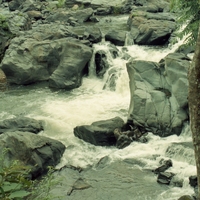 http://192.168.29.90/photos/Open/Ahmed%20Hossain%20Collections/D019/P001/W002/D019P001W002S036.jpg