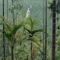 http://192.168.29.90/photos/Open/Ahmed%20Hossain%20Collections/D019/P001/W001/D019P001W001S024.jpg
