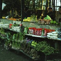 http://192.168.29.90/photos/Open/Ahmed%20Hossain%20Collections/D014/P012/W001/D014P012W001S005.jpg