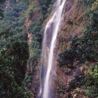http://192.168.29.90/photos/Open/Ahmed%20Hossain%20Collections/D004/P001/W009/D004P001W009S026.jpg