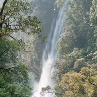 http://192.168.29.90/photos/Open/Ahmed%20Hossain%20Collections/D003/P001/W003/D003P001W003S003.jpg