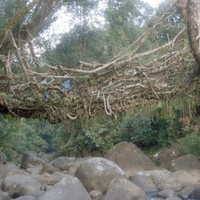 http://192.168.29.90/photos/Open/Ahmed%20Hossain%20Collections/D003/P001/W003/D003P001W003S012.jpg