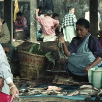 http://192.168.29.90/photos/Open/Ahmed%20Hossain%20Collections/D019/P002/W001/D019P002W001S007.jpg