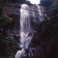 http://192.168.29.90/photos/Open/Ahmed%20Hossain%20Collections/D004/P001/W009/D004P001W009S017.jpg