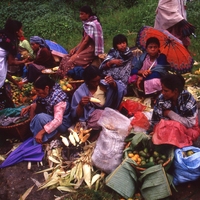 http://192.168.29.90/photos/Open/Ahmed%20Hossain%20Collections/D004/P001/W005/D004P001W005S012.jpg