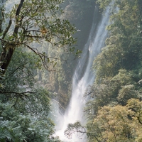 http://192.168.29.90/photos/Open/Ahmed%20Hossain%20Collections/D003/P001/W003/D003P001W003S005.jpg