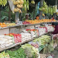 http://192.168.29.90/photos/Open/Ahmed%20Hossain%20Collections/D014/P012/W001/D014P012W001S003.jpg