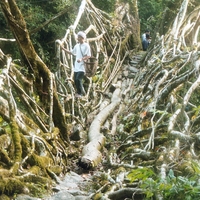 http://192.168.29.90/photos/Open/Ahmed%20Hossain%20Collections/D003/P001/W003/D003P001W003S007.jpg