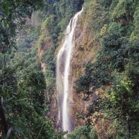 http://192.168.29.90/photos/Open/Ahmed%20Hossain%20Collections/D004/P001/W009/D004P001W009S034.jpg